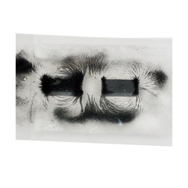 자기력선을 찾아라 5명 set