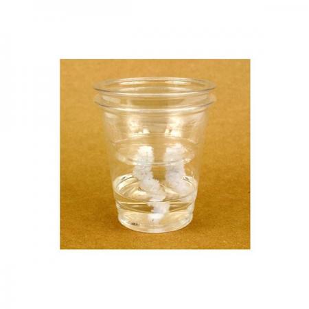 디바이스마트,오픈소스/코딩교육 > 과학 교구 > 생물/인체 과학교구,스터디랜드,자동 급수 화분 5명 set,모세관 현상을 이용하여 자동으로 물을 공급하는 화분을 만드는 실험입니다.