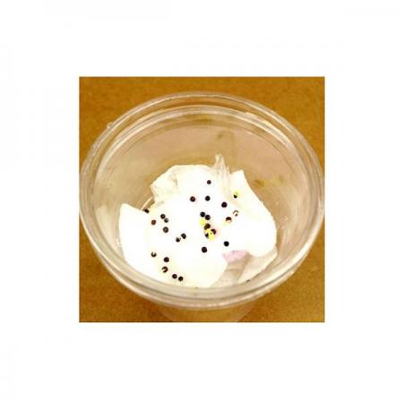 디바이스마트,오픈소스/코딩교육 > 과학 교구 > 생물/인체 과학교구,스터디랜드,자동 급수 화분 5명 set,모세관 현상을 이용하여 자동으로 물을 공급하는 화분을 만드는 실험입니다.