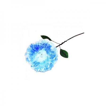 디바이스마트,오픈소스/코딩교육 > 과학 교구 > 물리/물질 과학교구,스터디랜드,자외선 반응꽃 5명 set,시광물감을 이용하여 자외선에 반응 하는 꽃을 만들어 보는 실험입니다.