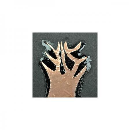 디바이스마트,오픈소스/코딩교육 > 과학 교구 > 화학/환경 과학교구,스터디랜드,종이 은나무 5명 set,종이 위에서 자라나는 은나무의 원리를 알아보는 실험입니다.