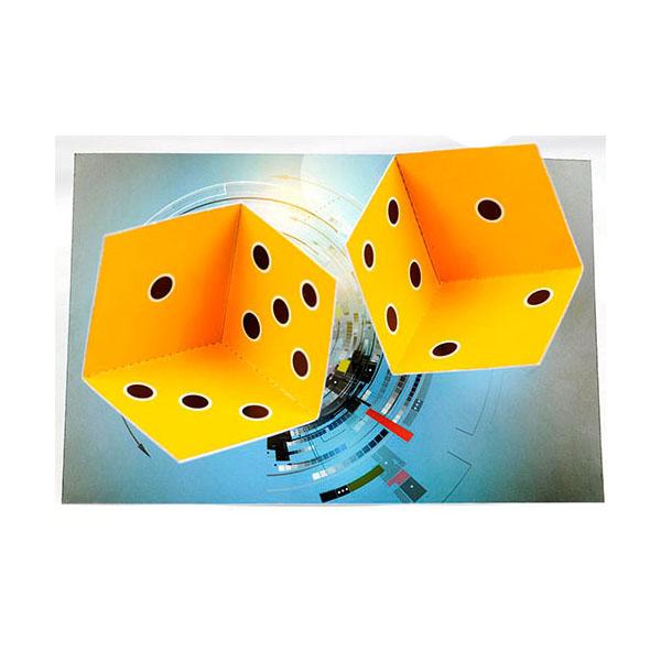 착시 주사위 10명 set