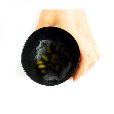 디바이스마트,오픈소스/코딩교육 > 과학 교구 > 생물/인체 과학교구,스터디랜드,친환경 콩나물 5명 set,내 손으로 직접 친환경 콩나물을 키워 보세요.