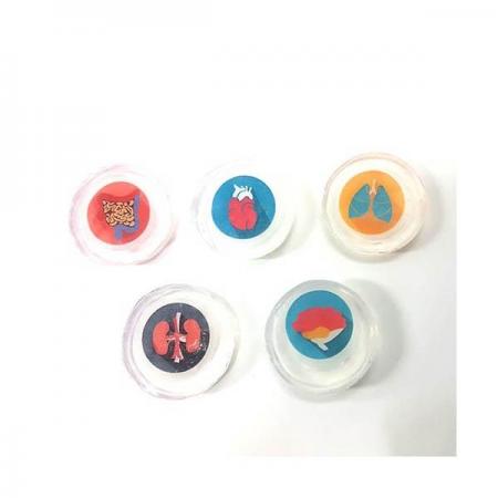 디바이스마트,오픈소스/코딩교육 > 과학 교구 > 화학/환경 과학교구,스터디랜드,캐릭터 투명 비누 4명 set(가열장치 포함),물에 녹는 종이를 이용하여 종이비누를 만들어 보는 실험입니다.