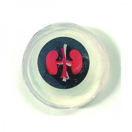 디바이스마트,오픈소스/코딩교육 > 과학 교구 > 화학/환경 과학교구,스터디랜드,캐릭터 투명 비누 4명 set(가열장치 포함),물에 녹는 종이를 이용하여 종이비누를 만들어 보는 실험입니다.