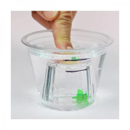 디바이스마트,오픈소스/코딩교육 > 과학 교구 > 물리/물질 과학교구,스터디랜드,컵 안의 종이배 5명 set,컵 안의 종이배를 다른 컵으로 씌우고 눌러 변화를 알아보세요