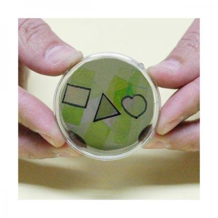 디바이스마트,오픈소스/코딩교육 > 과학 교구 > 물리/물질 과학교구,스터디랜드,편광만화경 5명 set,편광 필름을 이용해서 만화경을 만들어 보세요