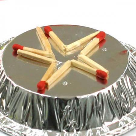 디바이스마트,오픈소스/코딩교육 > 과학 교구 > 물리/물질 과학교구,스터디랜드,피어라 얍 ! 10명 set,종이와 나무에 물이 흡수되면 어떤 변화가 일어날까요