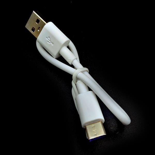 USB C타입 데이터 & 고속 충전 케이블 25cm [SZH-CAB25]