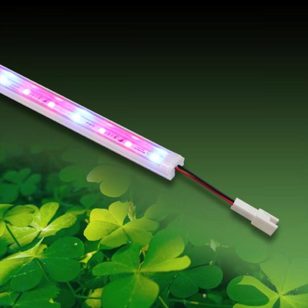 디바이스마트,LED/LCD > LED 인테리어조명 > 식물성장용 LED,그린맥스,식물성장 LED바(완제품-기본형) 12V 25cm,식물 재배용 LED바 조명을 이용하여, 일조량에 관계없이 4계절 내내 식물재배가 가능합니다./ 햇볕이 고르게 들지않는 실내,베란다에서 손쉽게 식물을 재배할 수 있습니다.