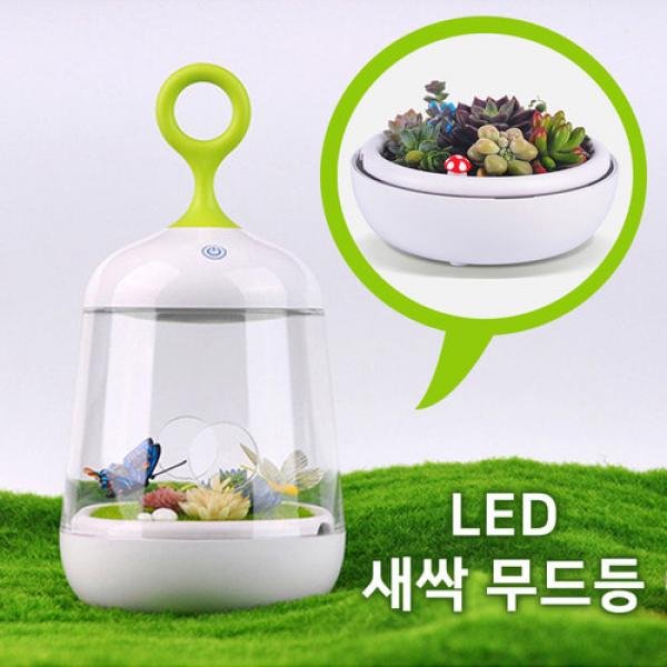 DIY 식물심기 새싹 LED 무드등 터치등