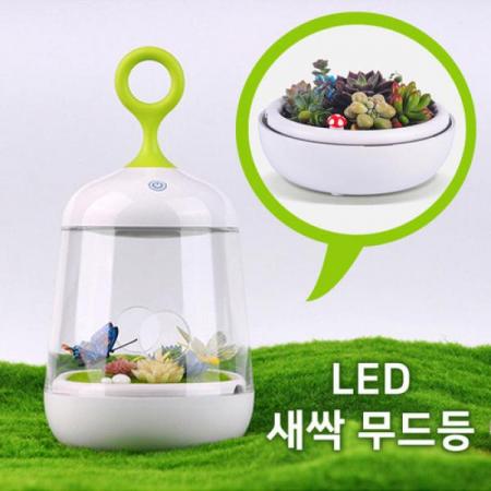 디바이스마트,LED/LCD > LED 인테리어조명 > 식물성장용 LED,그린맥스,DIY 식물심기 새싹 LED 무드등 터치등,식물 재배용 LED바 조명을 이용하여, 일조량에 관계없이 4계절 내내 식물재배가 가능합니다./ 햇볕이 고르게 들지않는 실내,베란다에서 손쉽게 식물을 재배할 수 있습니다.