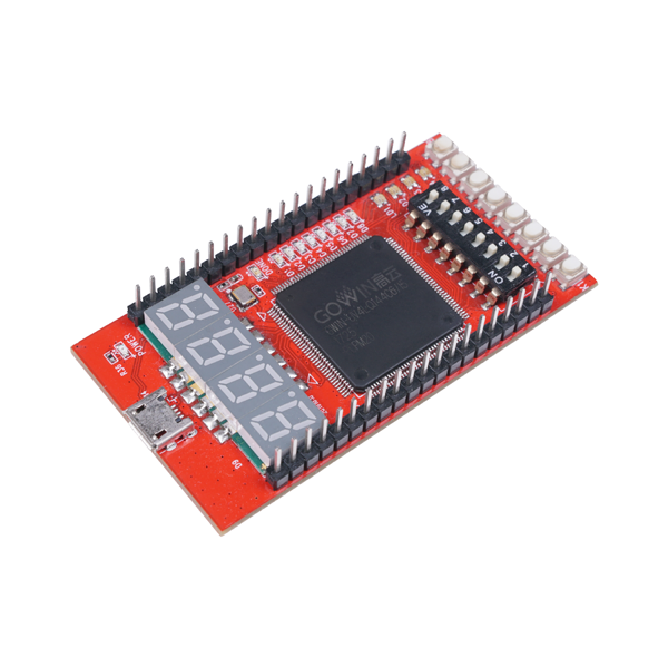 Gowin RUNBER FPGA Development Board [114992325]