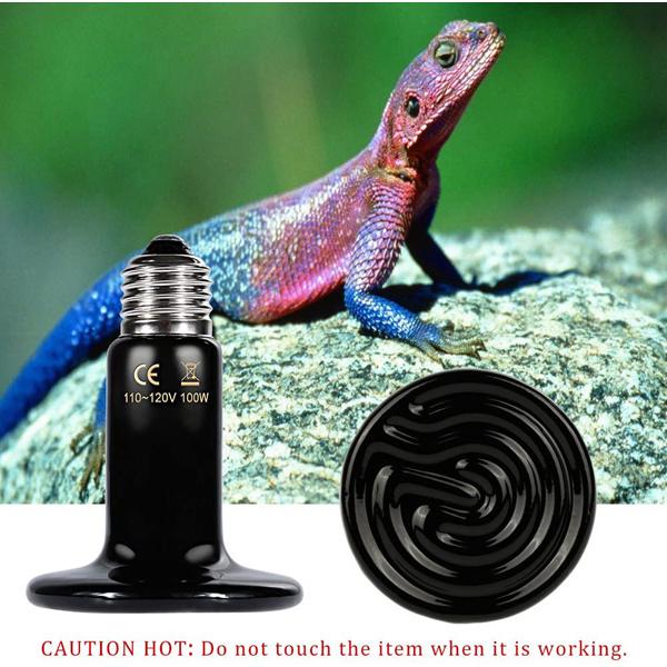 Zacro Reptile Heat Lamp 100W with One Digital Thermometer