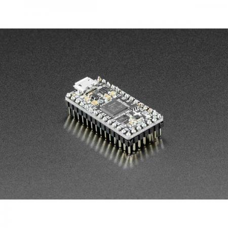 디바이스마트,커넥터/PCB > 핀헤더/IC 소켓 > 핀헤더 > 2.54mm pitch 핀헤더,Adafruit,Short Male Header Kit for ItsyBitsy [ada-4173],Short Male Header 키트 / 14핀 헤더 2개, 5핀 헤더 1개