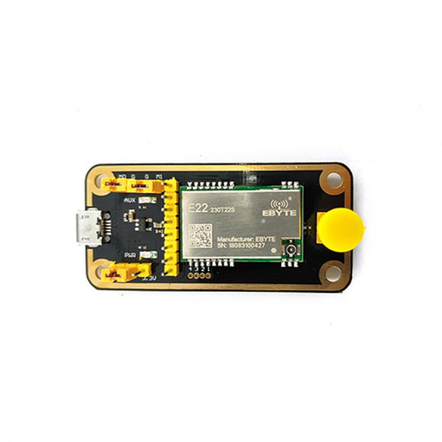 SX1262 5km 장거리 로라 모듈 [E22-230TBL-01]