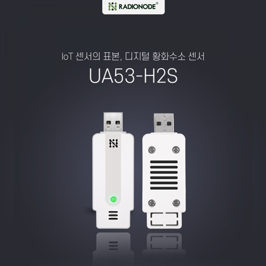 H2S 측정기 UA53-H2S-50