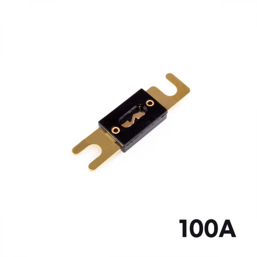 ANL 퓨즈 100A