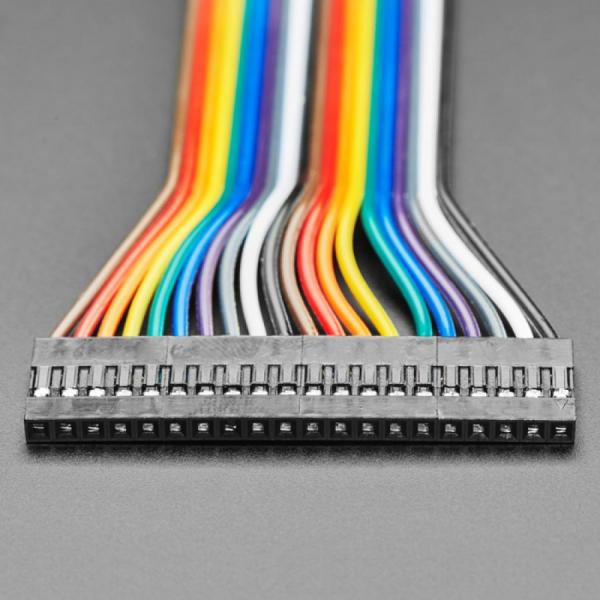 디바이스마트,케이블/전선 > 점퍼/하네스/악어/바나나 > 점퍼 와이어/케이블,Adafruit,2.54mm 0.1inch Pitch 20-pin Jumper Cable - 20cm long [ada-4946],길이 : 20cm / 커넥터 피치 : 2.54mm, 0.1인치