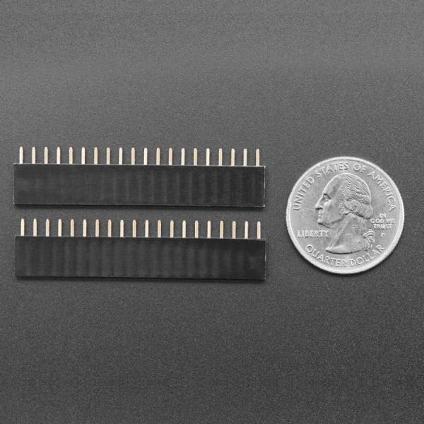 디바이스마트,오픈소스/코딩교육 > 라즈베리파이 > 아답터/방열판/OS/기타,Adafruit,Socket Headers for Raspberry Pi Pico - 2 x 20 pin Female Headers [ada-5583],라즈베리파이 피코 전용 / 20핀 암 헤더 2개 포함