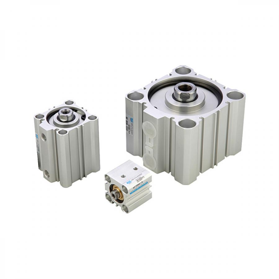 ADFW 양로드 박형실린더 Ø100 (자석내장 / 10mm / 표준형) [ADFW-100A-S10]