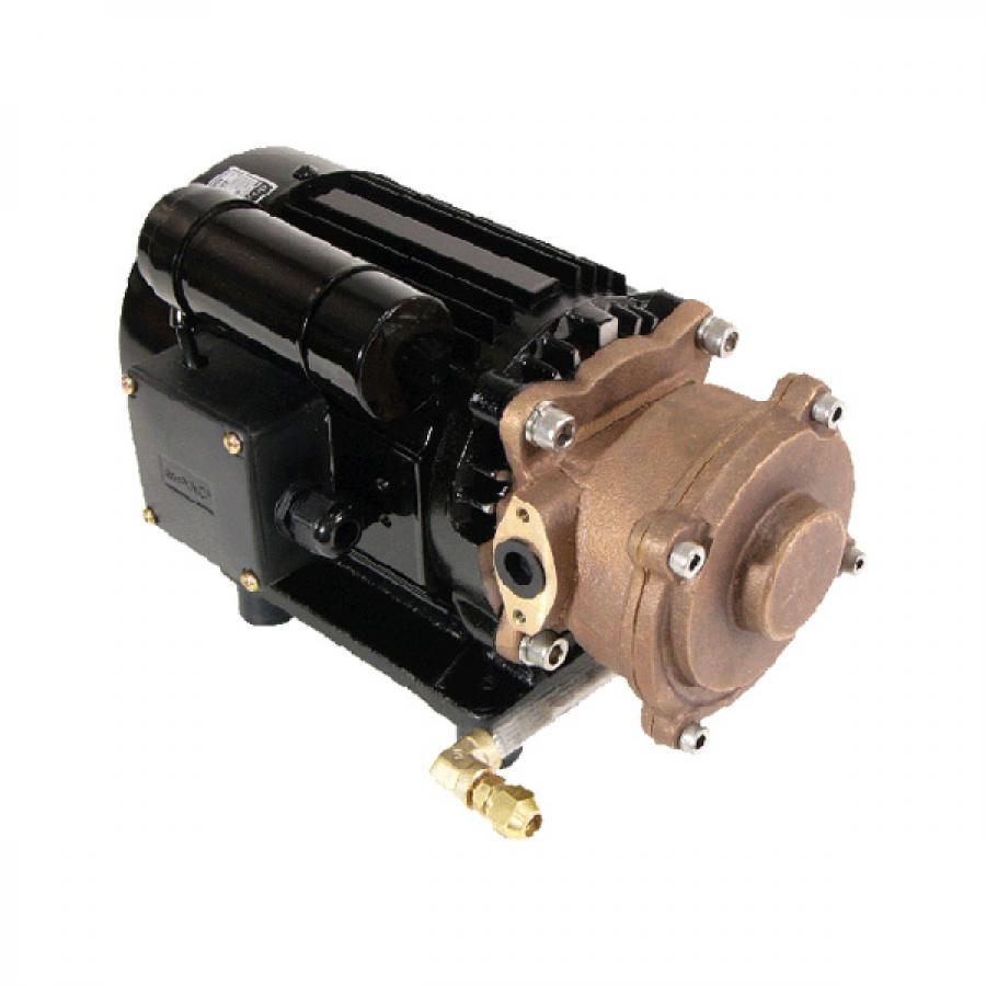 DWV 수봉식 진공 펌프 400L (3상 / 220V / 60Hz) [DWV-400-DA]